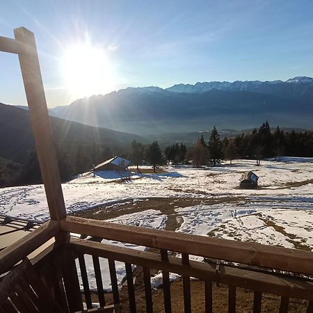 Hotel Rifugio Predaia Ai Todes'ci Tres Esterno foto