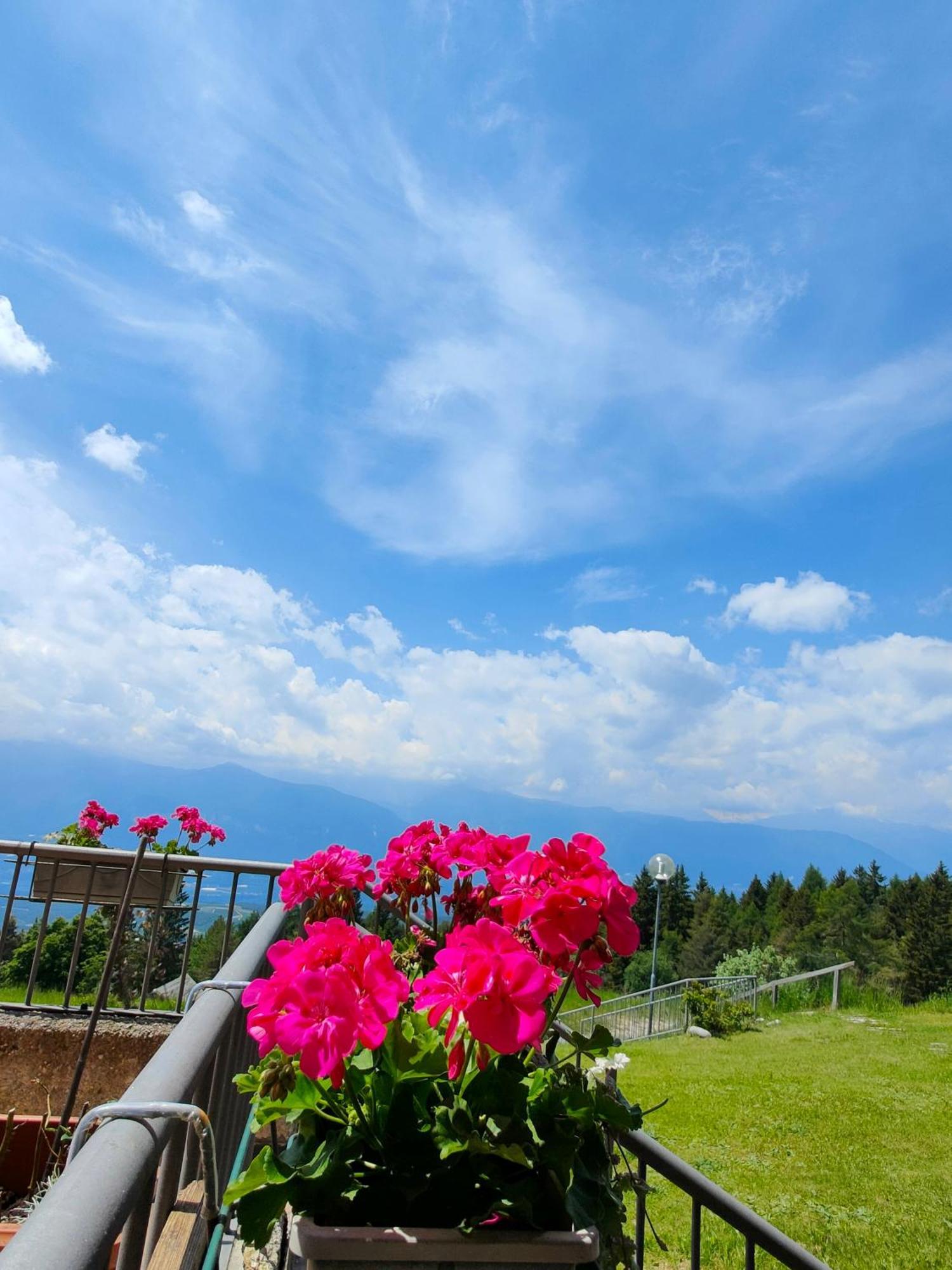 Hotel Rifugio Predaia Ai Todes'ci Tres Esterno foto