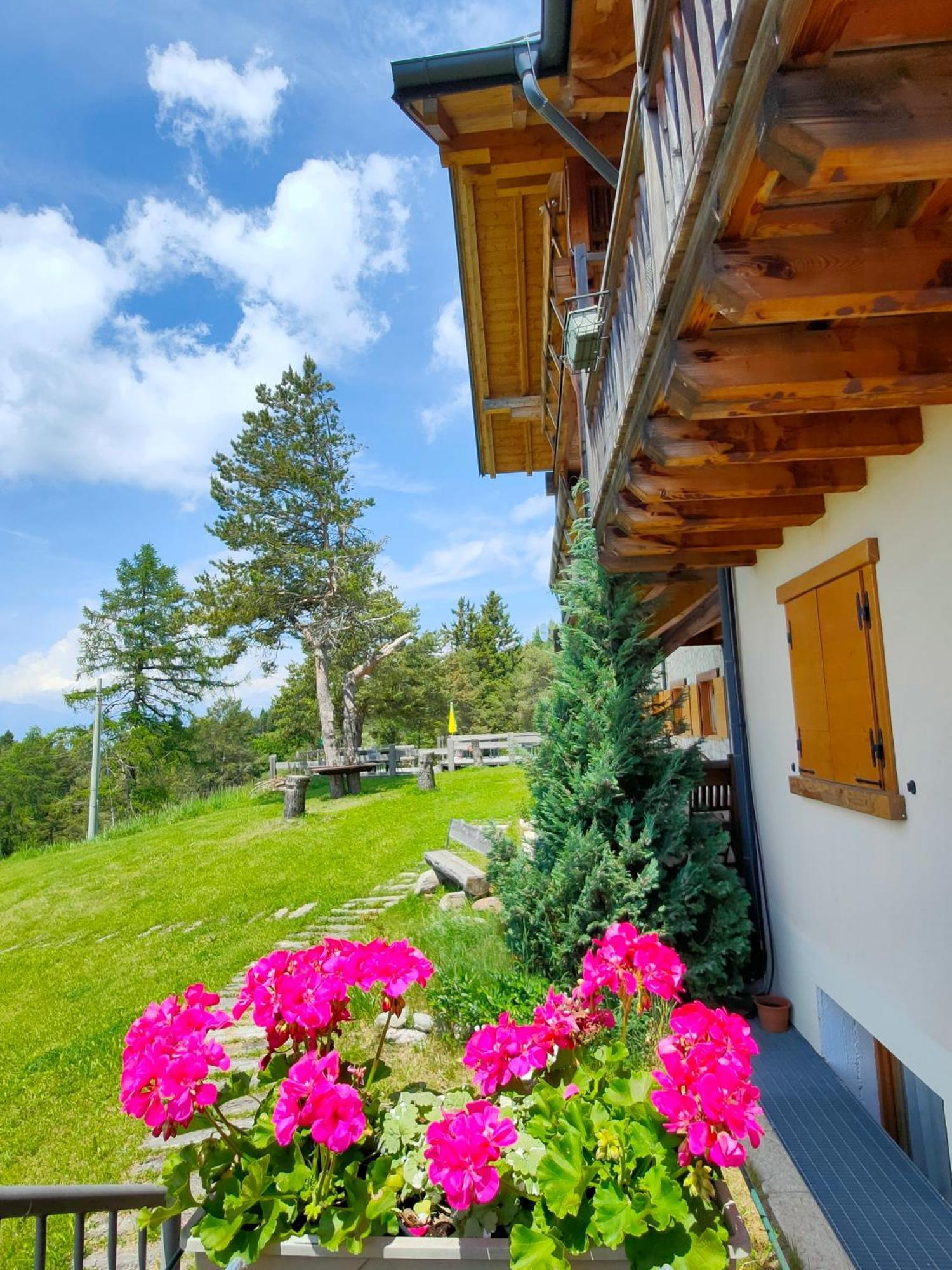 Hotel Rifugio Predaia Ai Todes'ci Tres Esterno foto